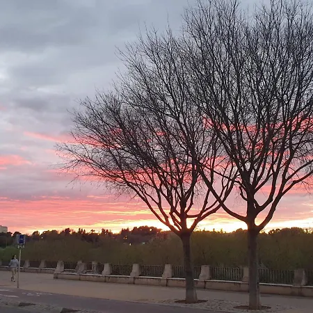 Apartamento Loft Ribera De Córdova